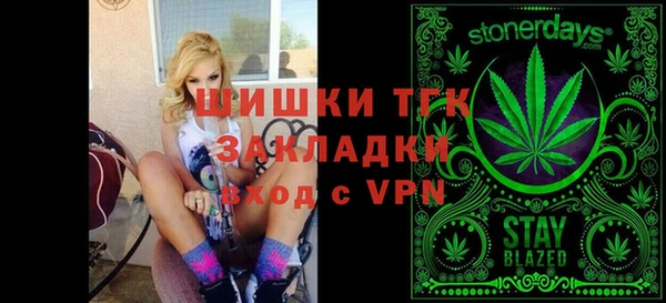 мет Алексин