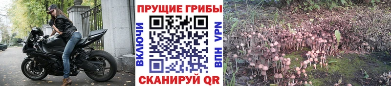 Галлюциногенные грибы ЛСД  как найти закладки  Тула 